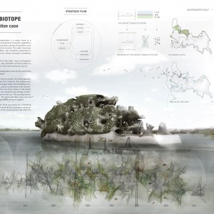 RETHINKING BIOTOPE: THE EUTROPHICATION CASE