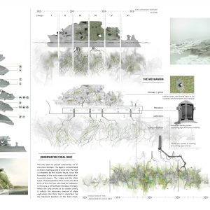 RETHINKING BIOTOPE: THE EUTROPHICATION CASE
