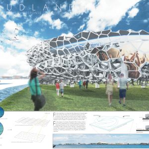 CLOUDLAND &ndash; ALGORITHMIC ARCHITECTURE IN RESPONSE TO ENVIRONMENT